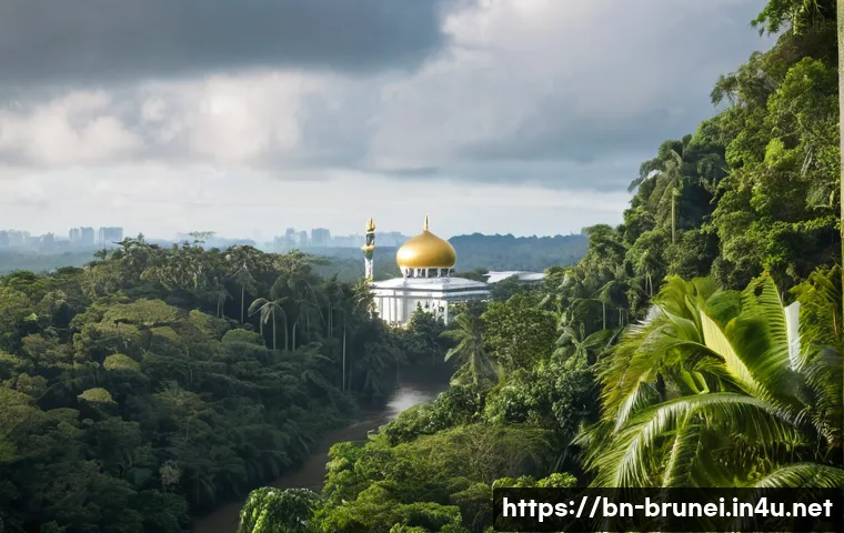 브루나이와 아세안 경제 협력 관련 이미지 1